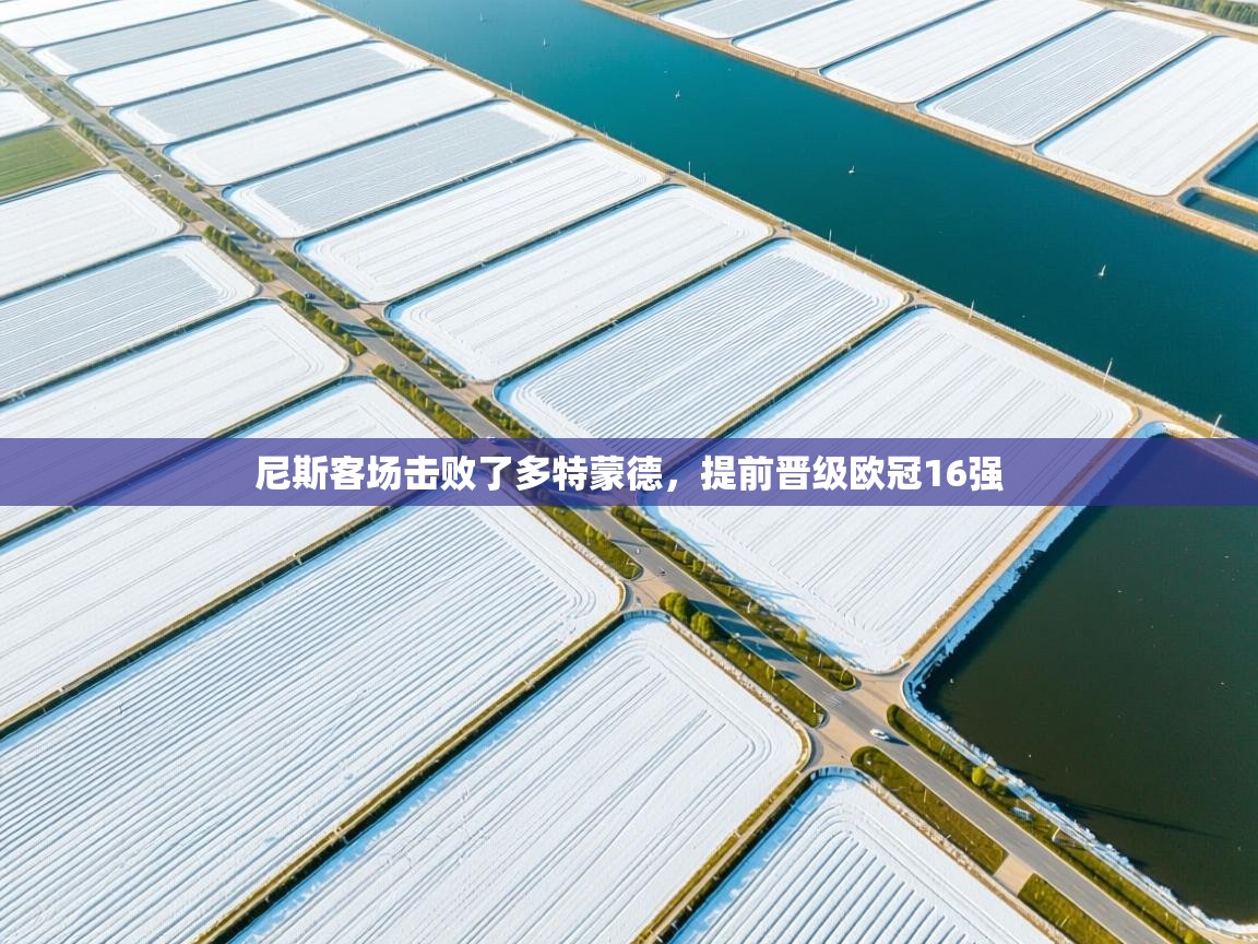 尼斯客场击败了多特蒙德，提前晋级欧冠16强