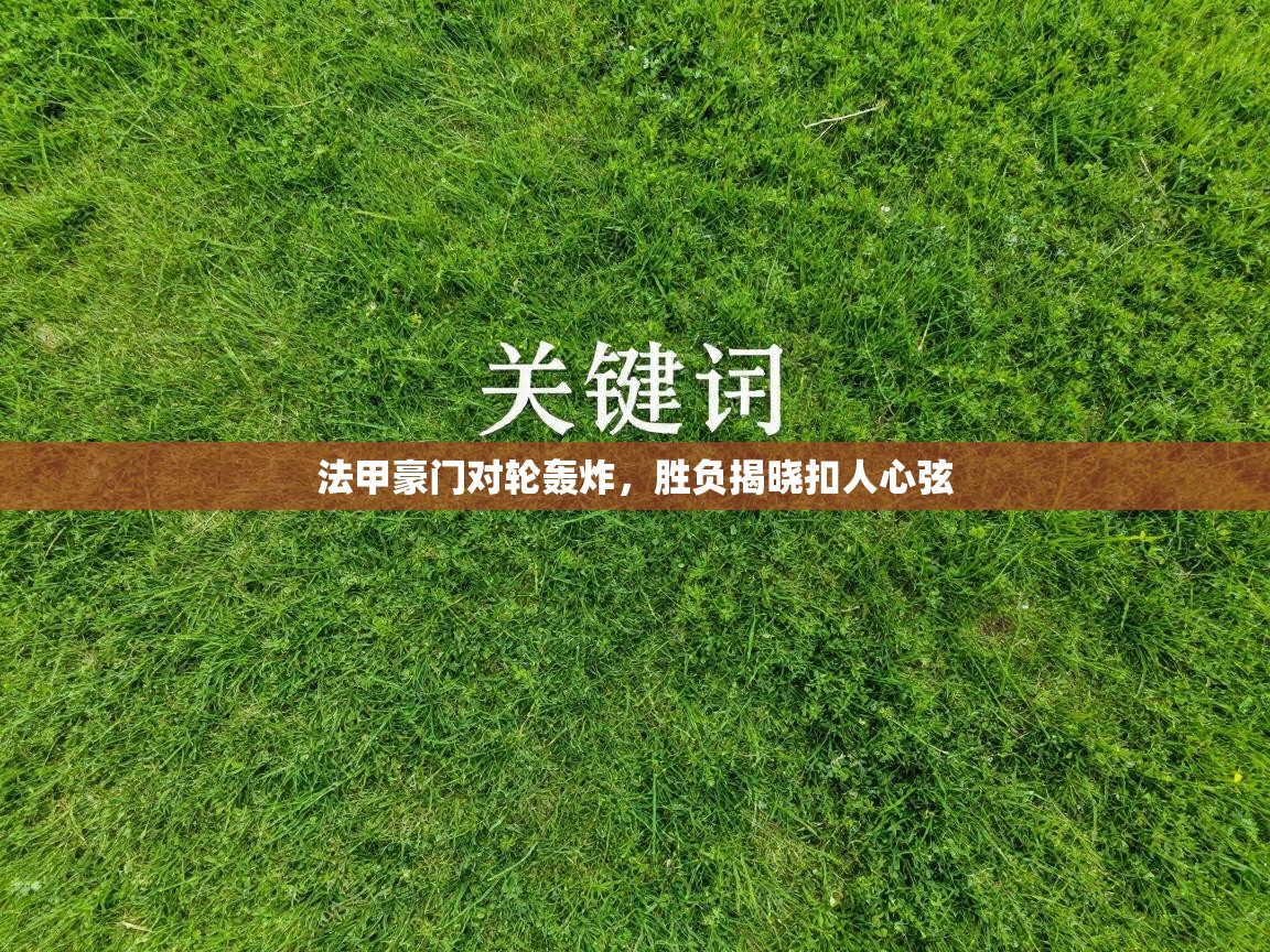 法甲豪门对轮轰炸，胜负揭晓扣人心弦  第1张