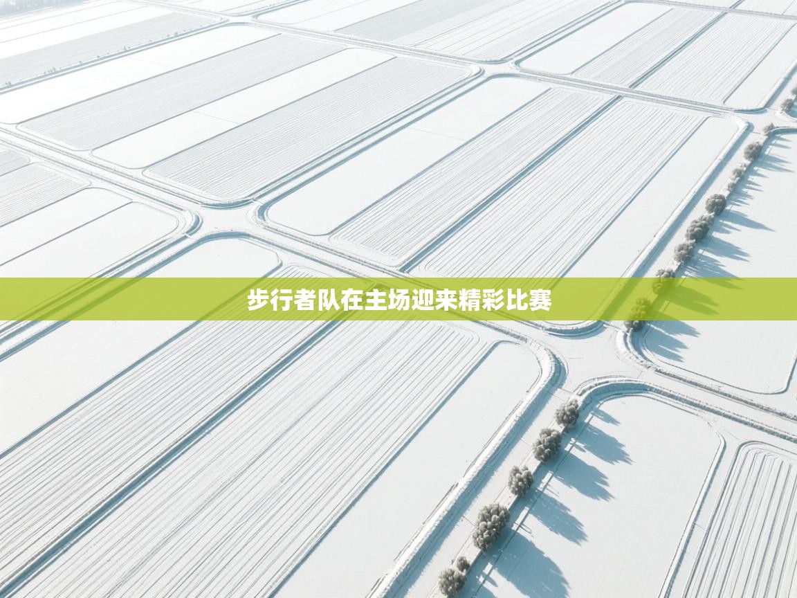 步行者队在主场迎来精彩比赛