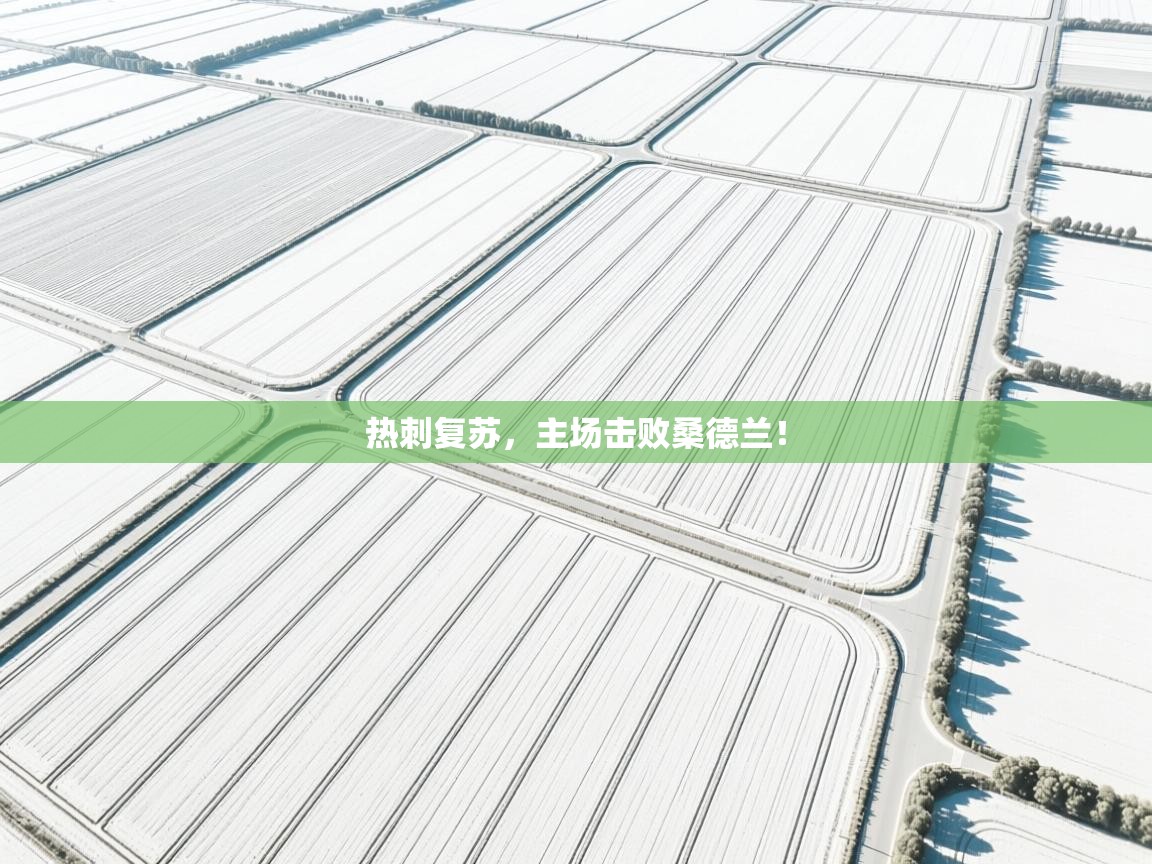 热刺复苏，主场击败桑德兰！