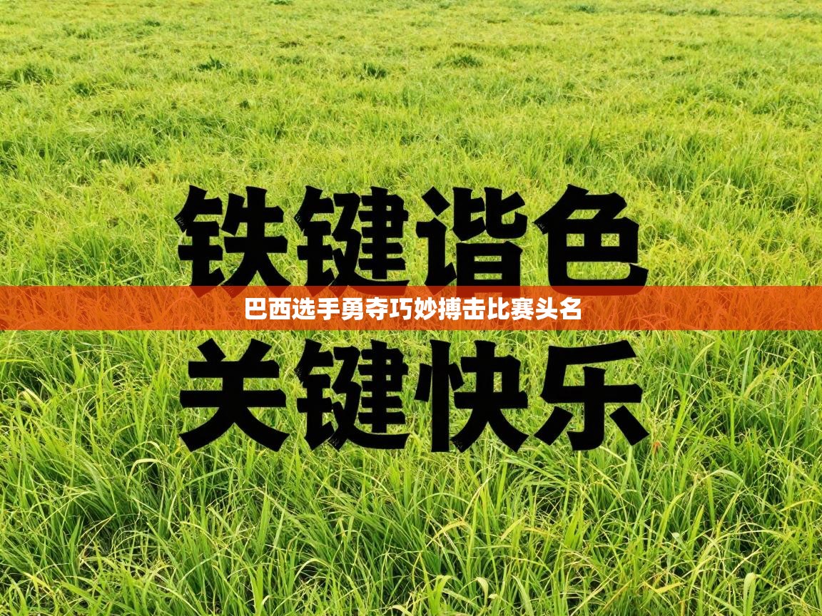 巴西选手勇夺巧妙搏击比赛头名