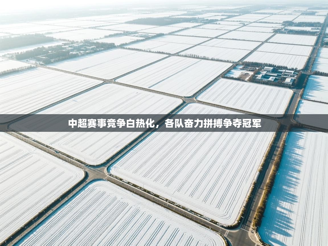 中超赛事竞争白热化，各队奋力拼搏争夺冠军