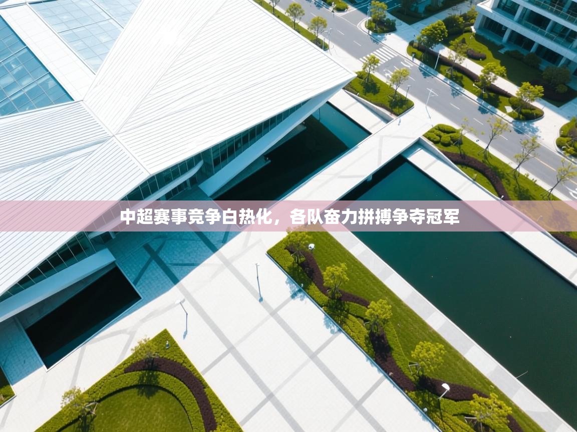 中超赛事竞争白热化,各队奋力拼搏争夺冠军 第2张