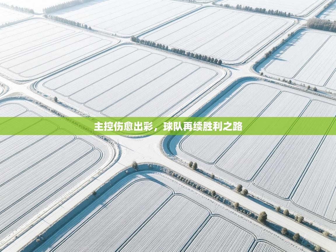 主控伤愈出彩，球队再续胜利之路