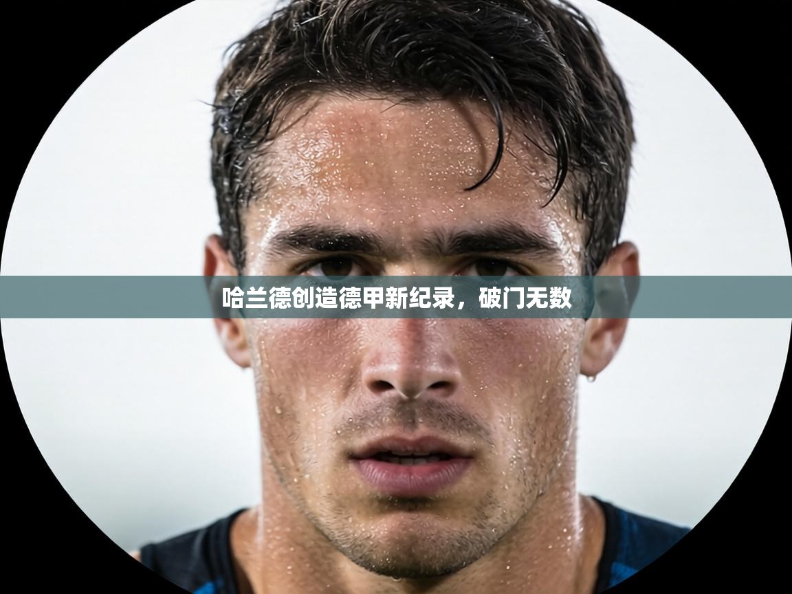 哈兰德创造德甲新纪录,破门无数 第1张